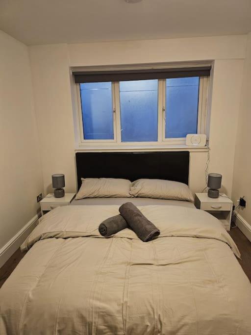 Beautiful Garden Flat Near Central ロンドン エクステリア 写真
