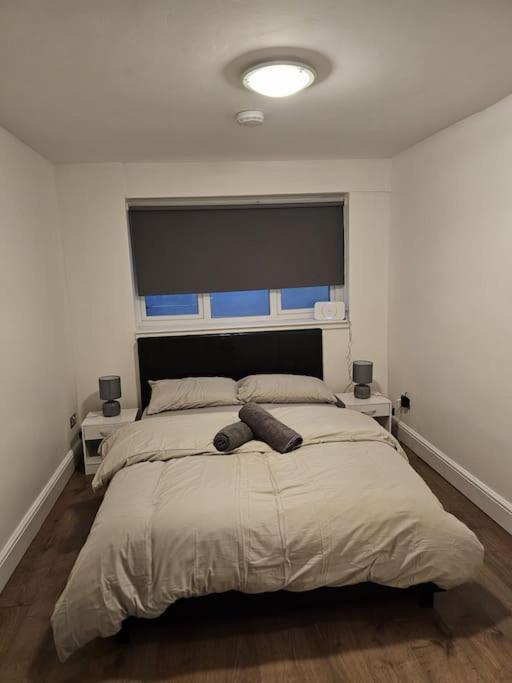 Beautiful Garden Flat Near Central ロンドン エクステリア 写真