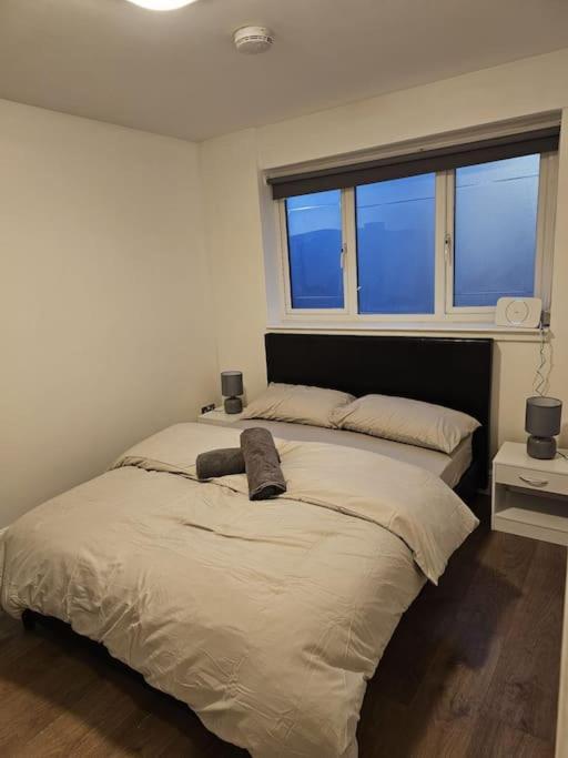 Beautiful Garden Flat Near Central ロンドン エクステリア 写真