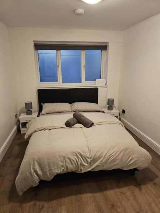 Beautiful Garden Flat Near Central ロンドン エクステリア 写真